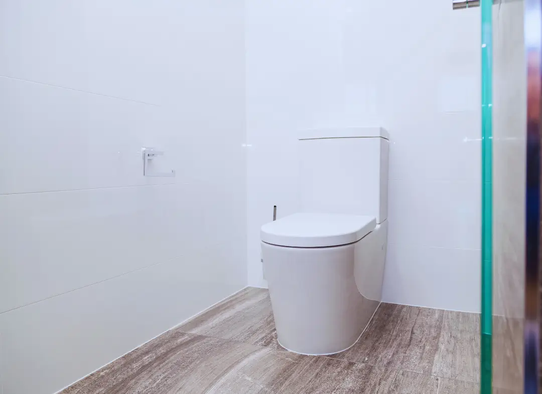 Remplacement de wc Morières-lès-Avignon